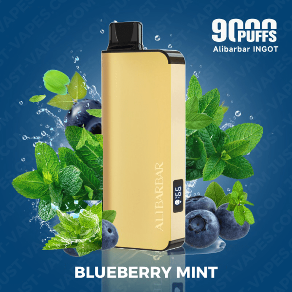 Blueberry Mint  – ALIBARBAR Ingot 9000 Puff Vape