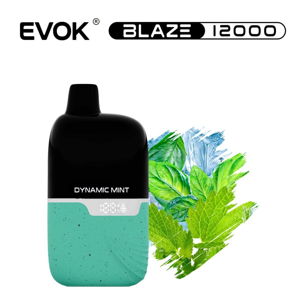 EVOK Blaze 12000 Puff Disposable Vape