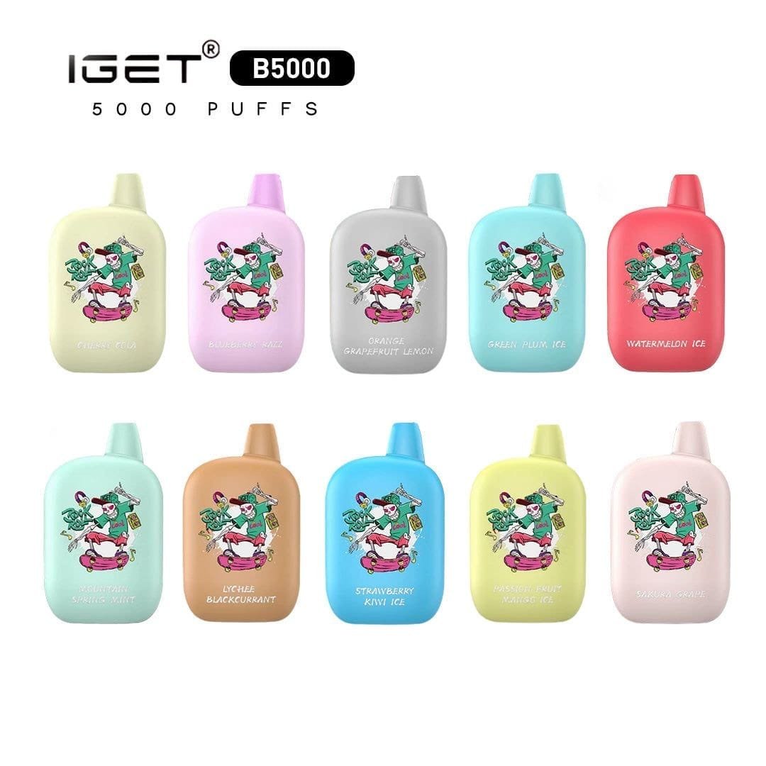 IGET B5000 Disposable Vape